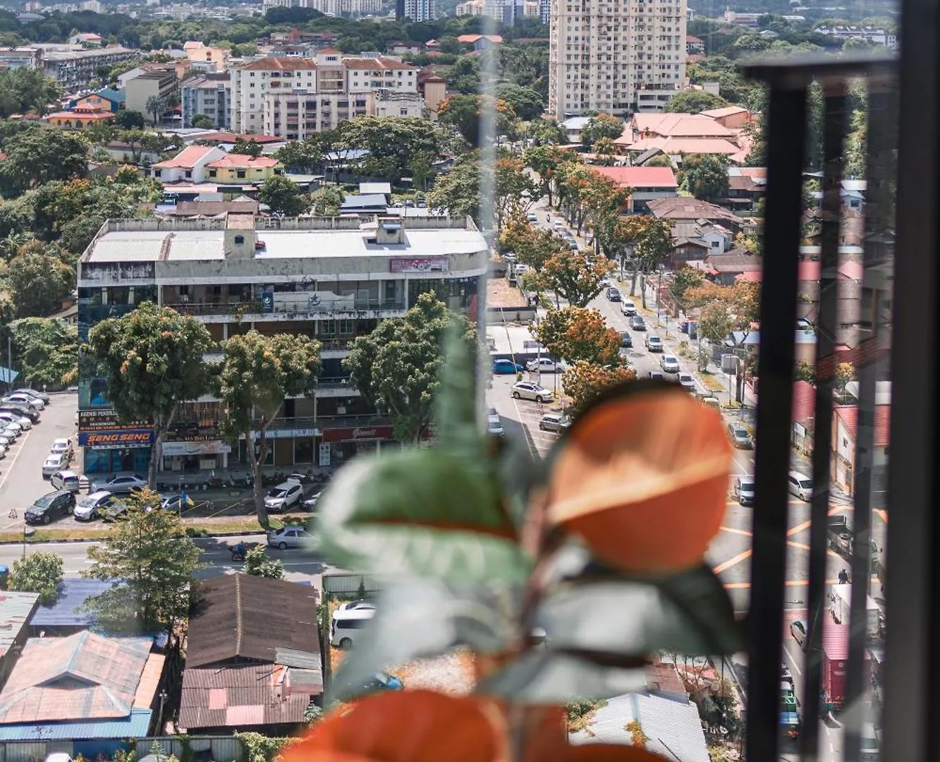 #12Georgetown Luxury Suite With Rooftop Pool Apartment George Town